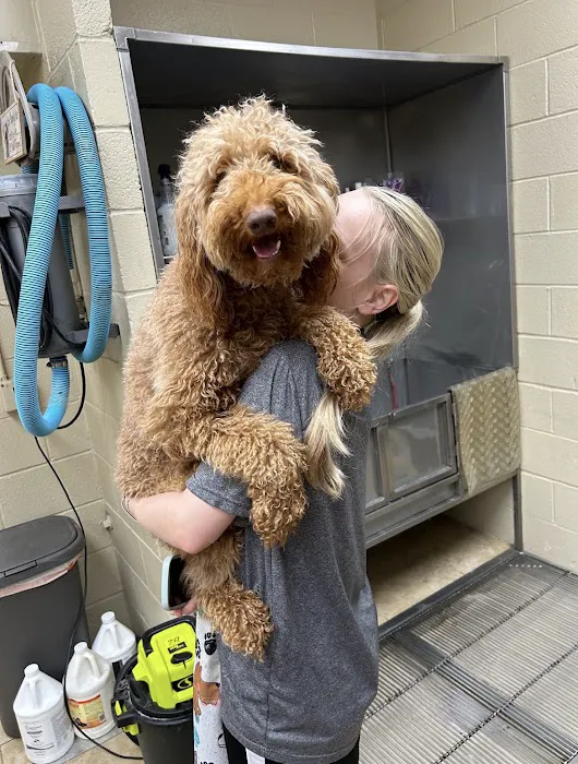 Alex-Bell Veterinary Clinic and Exclusively Posh Pets Picture 6