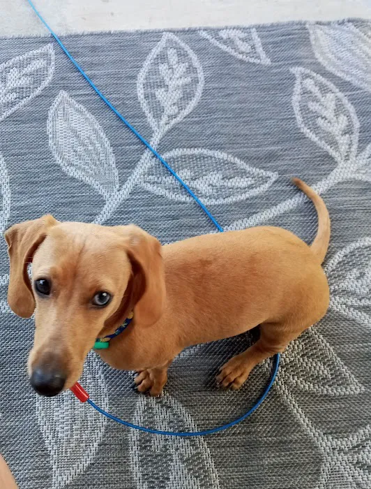 Banfield Pet Hospital Picture 2