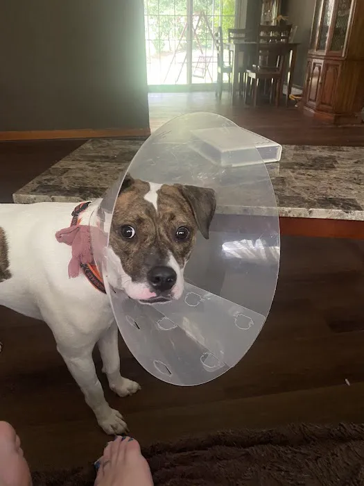 Banfield Pet Hospital Picture 7
