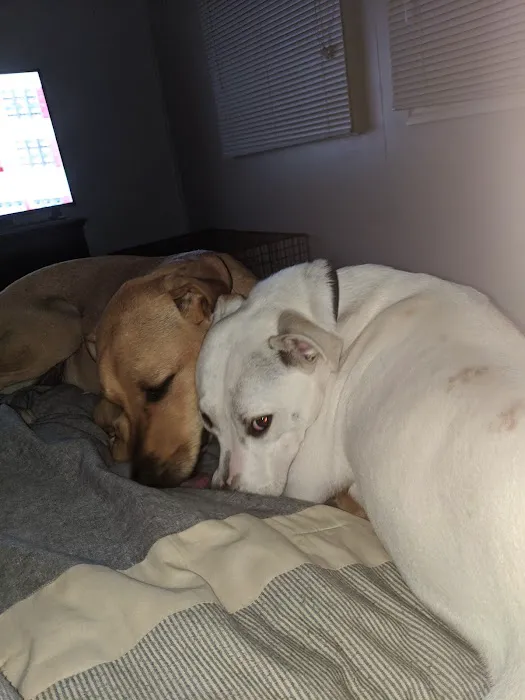 Banfield Pet Hospital Picture 10