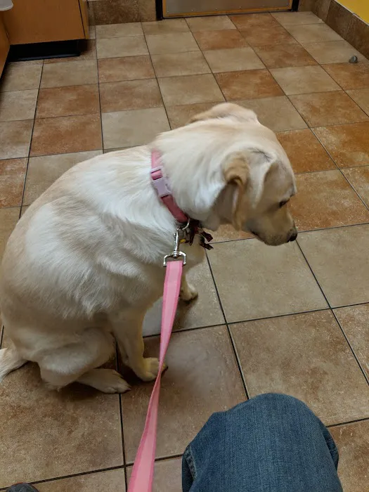 Banfield Pet Hospital Picture 9
