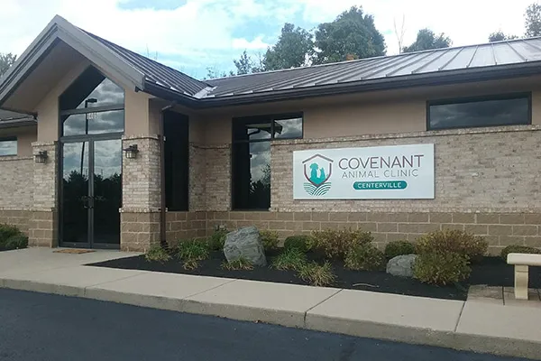 Covenant Animal Clinic - Centerville Picture 4