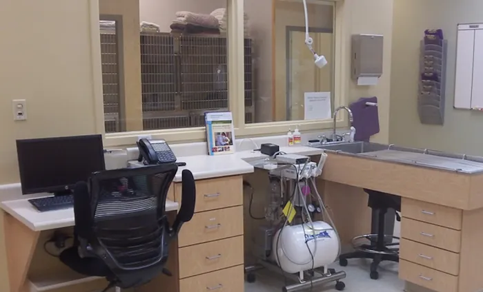Miami Valley Animal Hospital Picture 10
