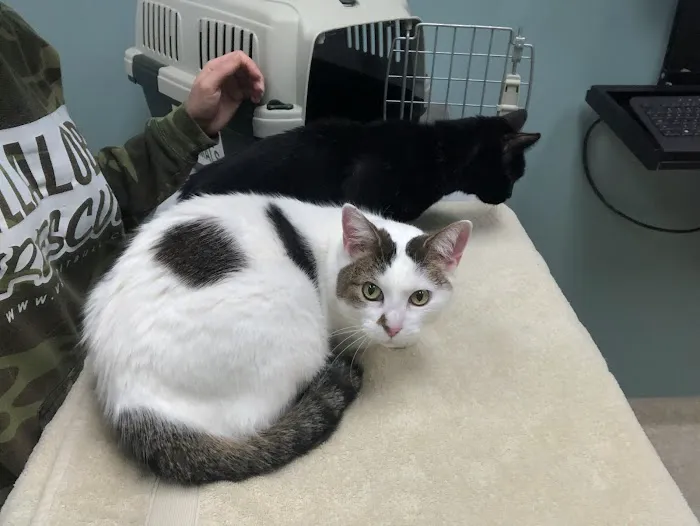 Miami Valley Animal Hospital Picture 5