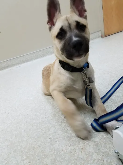 Miami Valley Animal Hospital Picture 6