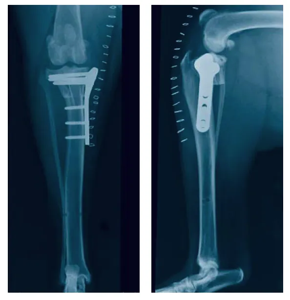 Bone, Joint and Spine Clinic Picture 10