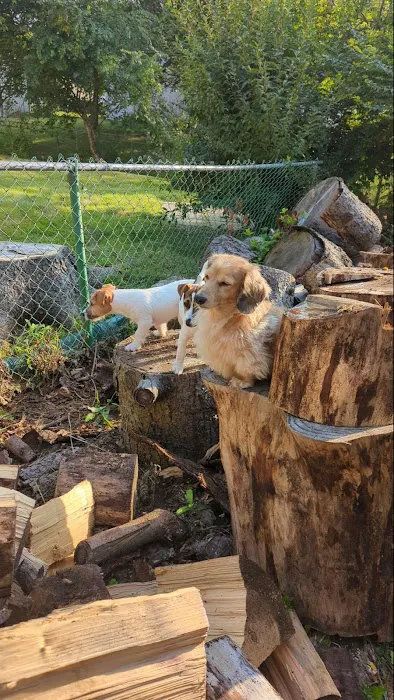 Animal Care Unlimited Picture 3