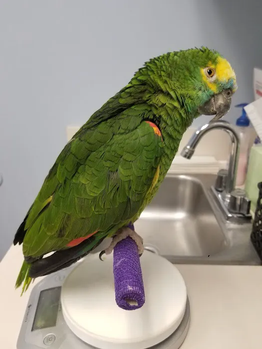 Animal Care Unlimited Picture 2