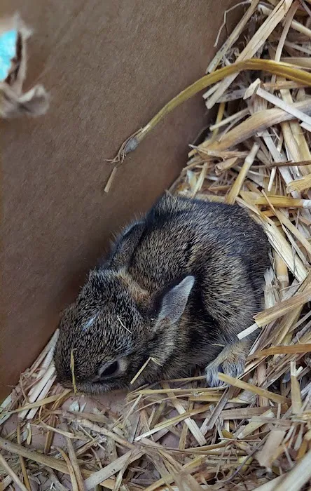 Animal Care Unlimited Picture 8