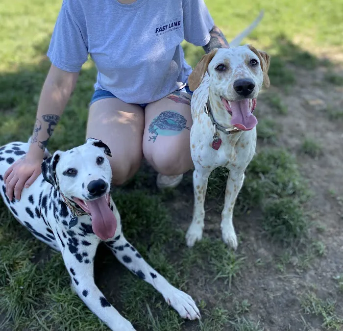 Capital City Spay and Neuter Clinic Picture 10