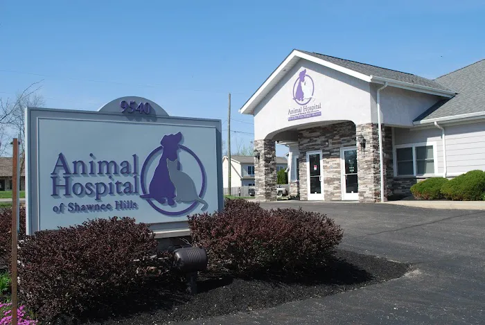 Animal Hospital of Shawnee Hills Picture 5