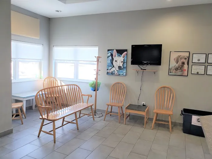 Animal Hospital of Shawnee Hills Picture 3