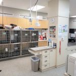 Animal Hospital of Shawnee Hills