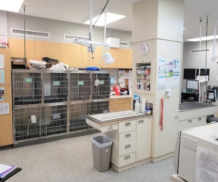 Animal Hospital of Shawnee Hills