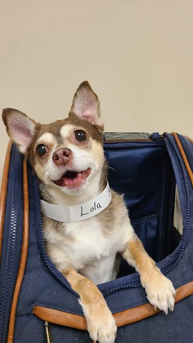 Muirfield Animal Hospital Picture 1