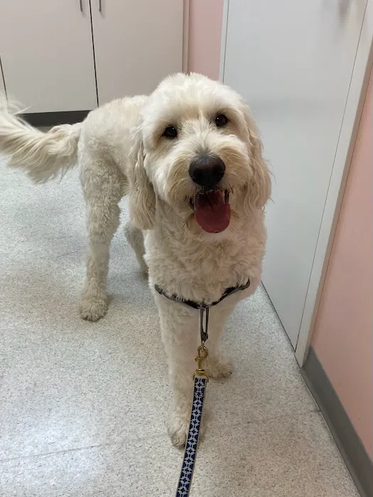 Muirfield Animal Hospital Picture 10