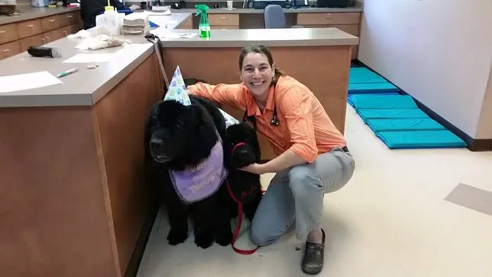 The Greyhound Health Initiative Picture 1