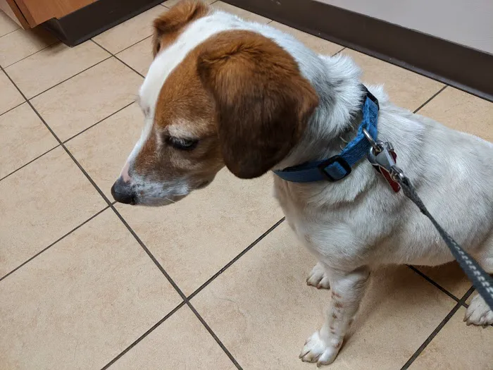 Riverside Animal Care Center: Wisecup M DVM Picture 4