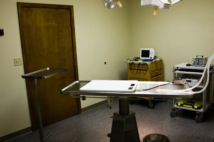 Cats Only Veterinary Clinic Picture 5