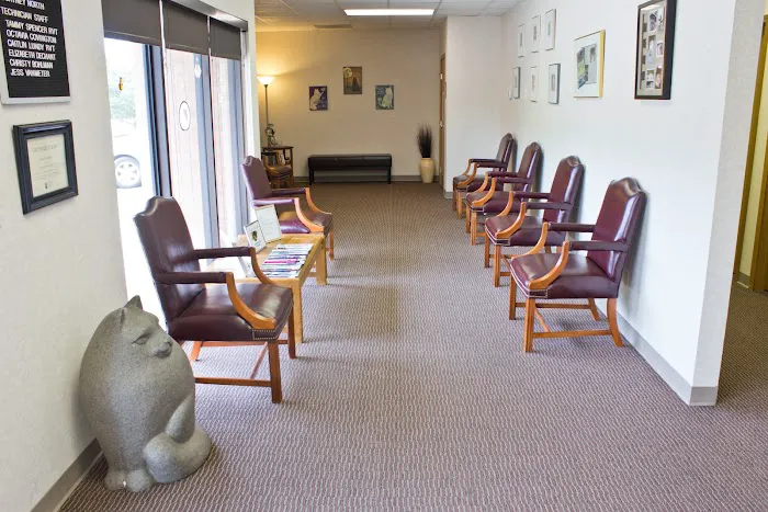 Cats Only Veterinary Clinic Picture 6