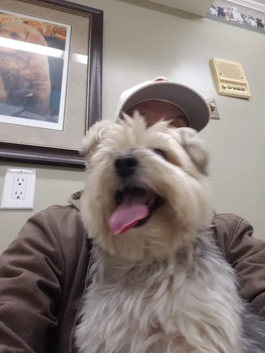 Northarlington Animal Clinic Picture 4