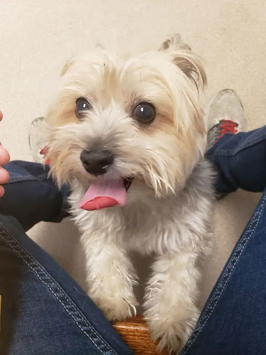 Northarlington Animal Clinic: See Heather L DVM Picture 4