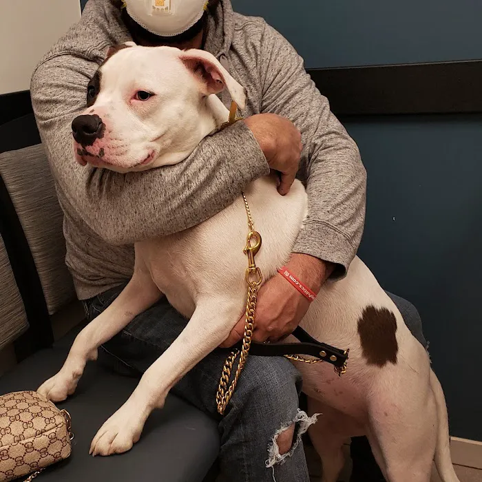 VCA Mill Run Animal Hospital Picture 8