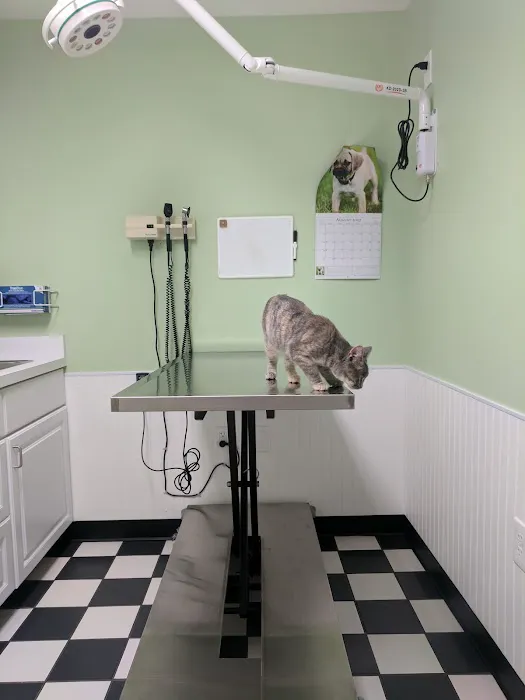 Hilliard Veterinary Hospital Picture 10