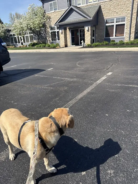 Avery Animal Hospital Picture 7
