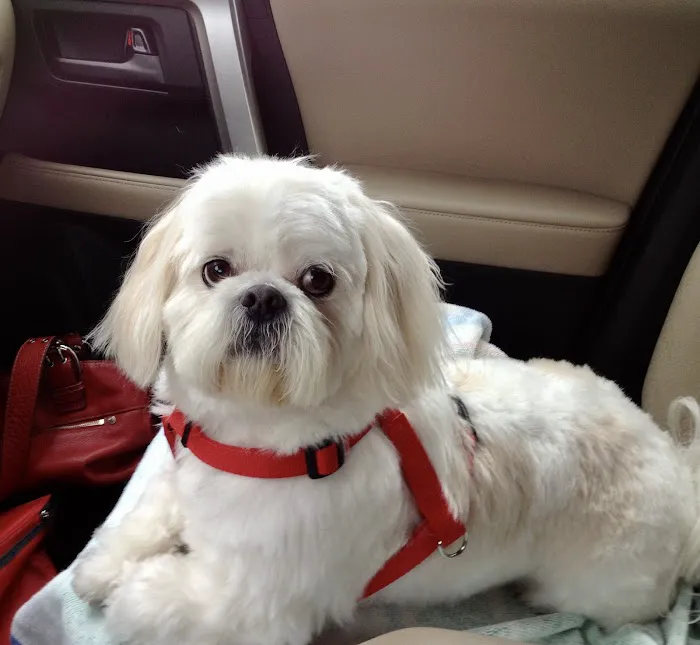 Avery Animal Hospital Picture 3
