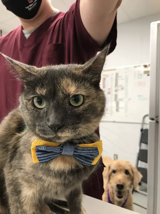 East Hilliard Veterinary Services: Klein Thomas DVM Picture 7