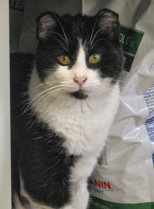 East Hilliard Veterinary Services Picture 9