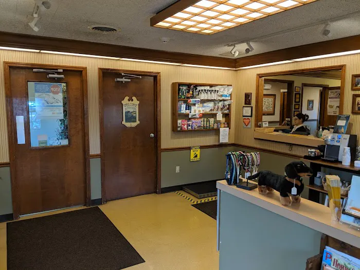 East Hilliard Veterinary Services Picture 2