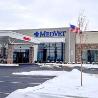 MedVet Hilliard ico