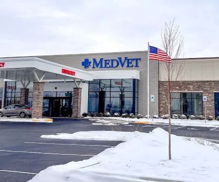 MedVet Hilliard