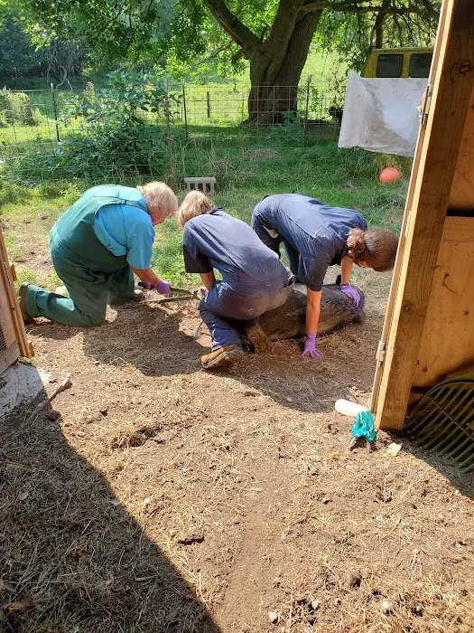 Ohio State University Large Animal Services Picture 3