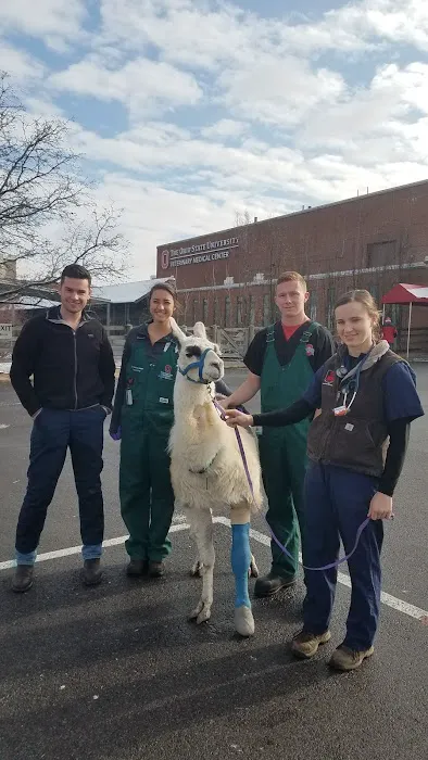 Ohio State University Large Animal Services Picture 2