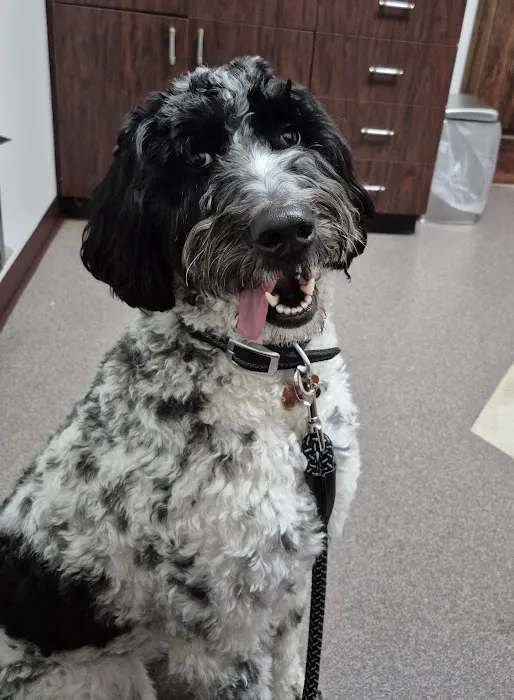 Woodside Veterinary Hospital Picture 9