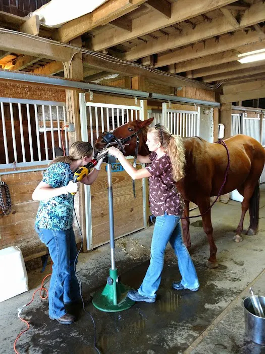 Himler Veterinary Services LLC Picture 8