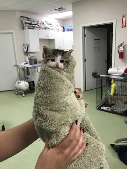Himler Veterinary Services LLC Picture 4