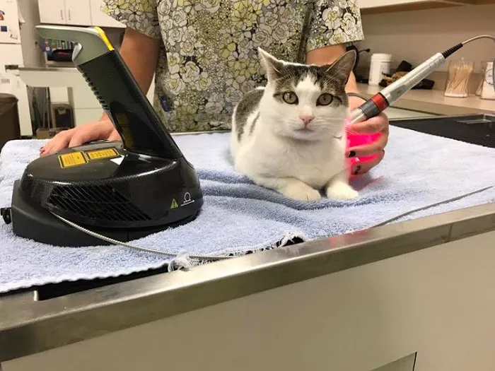 Himler Veterinary Services LLC Picture 3