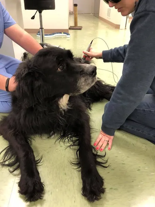 Himler Veterinary Services LLC Picture 9