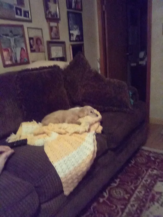 Pets On the Go Picture 1