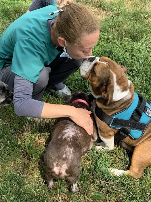 VCA Findlay Animal Care Center Picture 5