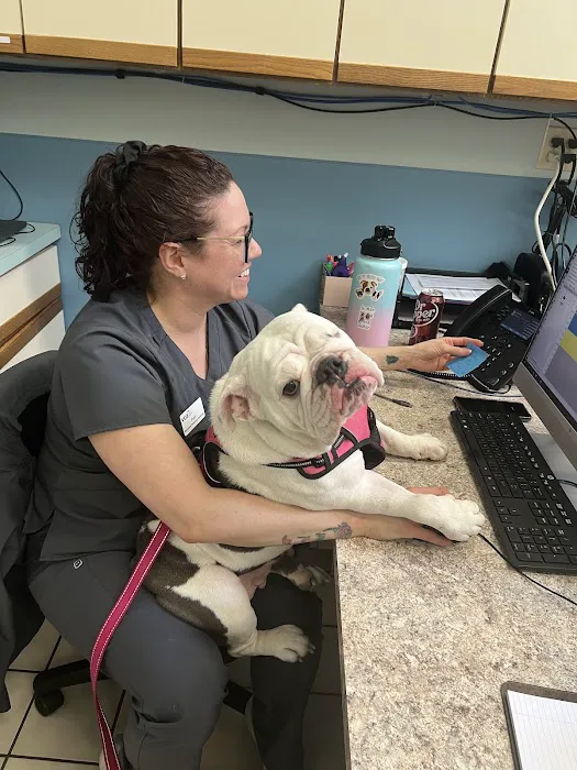 VCA Findlay Animal Care Center Picture 10