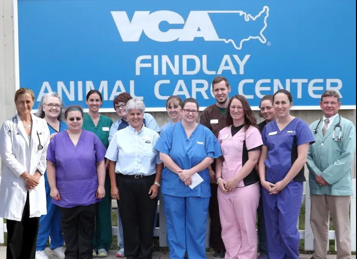 VCA Findlay Animal Care Center Picture 4