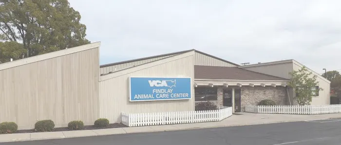 VCA Findlay Animal Care Center Picture 7