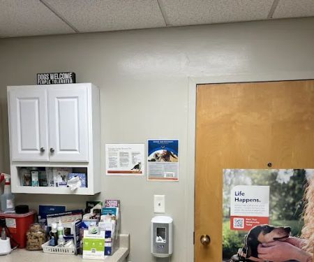 VCA Findlay Animal Care Center