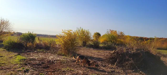 Barking Lot Picture 10