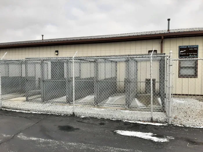 Barking Lot Picture 4
